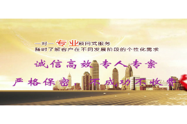 萧县融资清欠服务